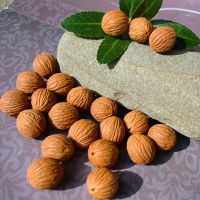 精选小金丝猴头 菩提子散珠 原籽 DIY 文玩核桃 17-19mm 饰品