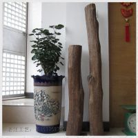 越南沉香原木 雕刻原材料 适合雕刻笔筒，人物 工艺品