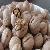 许昌哪里批发8518核桃实惠