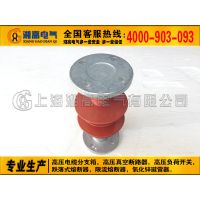 FZSW-20/4 6 8֧Ե FZS3-24KV÷