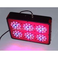 ӦLEDֲ90pcs*3W