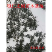 춹ɼء춹ɼ۸񡢺춹ɼ辰
