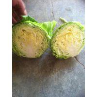 ڴţСŻĴײ-ൺũׯ޹˾