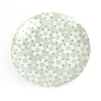 日本进口陶瓷碟 雪樱绿图案 日式料理餐具瓷器陶瓷和风菜盘汤