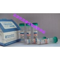 SignaGen SL100468 LipoJetDNA In VitroתȾԼ