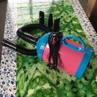 ˫רóﴵë  2800W ٵ´ˮ