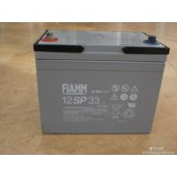 ***12SP200FIAMM***12V200Ahֻ