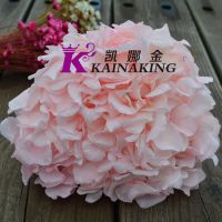 云南永生花花材大叶绣球保鲜花 创意七夕情人节礼品DIY花艺***