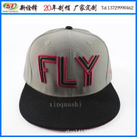 ñ2015괺ñ FLYĸ廨ñбƽñ