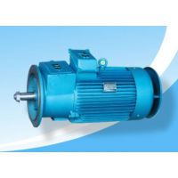 ӦYZR160M2-6/7.5KW-B5ת