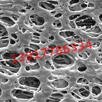 GPWP01300 Millipore Express 0.22umˮPESɫ13mmĤ