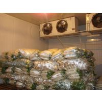 重庆九龙坡区冻库安装,食品冷库安装,水果冷藏库安装,药品医药库安装,蔬菜冷藏制冷设备安装