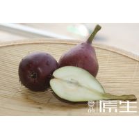 Ӧ55Ϻ