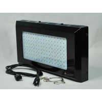 ӦCREE 300W LEDֲƳ¿ֱledgrowlight
