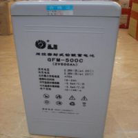 ɽʥSP12-200Ҵ12V-200AHǦάʱ