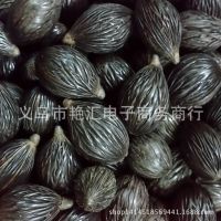 千丝菩提子千丝果原果批发原籽原料原子千眼菩提子一手货源批发