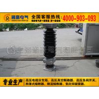 66KVпYH10WZ-84/221 YH10WZ-90/235