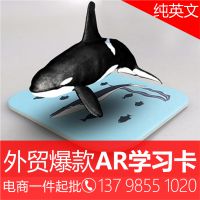 AR涂涂乐 早教卡认知卡学习卡厂家 APP软件定制开发 产品品牌定制 LOGO贴牌