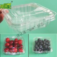***生产蓝莓盒PET水果盒 樱桃透明包装盒***水果拼盘一次性125g