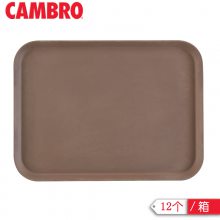 1418CT110_  CAMBROƷ