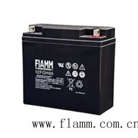 FIAMM***Ǧ2v600ah