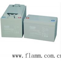 FIAMM***12V40AH