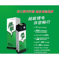 ӦDISONLi-ion綯г﮵48V10Ah﮵4810