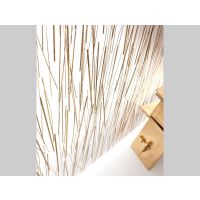 electra gold3formв֬壬͸壬Ϻֱ