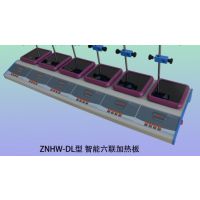 多联磁力（加热板）搅拌器