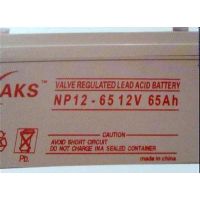¿12V65AH ¿NP12-65 /豸/ר