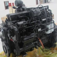 Ӧ翵˹6LTAA8.9-C325 ͷ