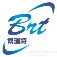 山东博瑞特智能科技有限公司