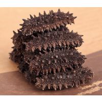 ԣ��Դ���ֹ��국�ɺ��Ρ��ٷ����ɺ��Ρ��ٶ���ʳ��ʳ���Ρ����������պ��δ�Ұ���ײ���