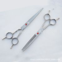 打薄牙剪 寵物美容剪刀 狗狗剪刀 剪子 修毛剪7寸平剪牙剪批發(fā)
