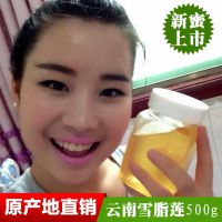 雪脂莲花蜜 取自悬崖峭壁之上岩蜜 云南***散装野生蜂蜜批发