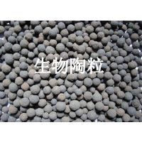 粘土陶粒 Clay ceramsite filter 厂家直销 现货供应 推广