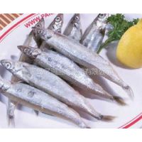 ӦൺʳƷع˾/ںרҵع˾