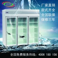 冰雪冷柜 酒店不锈钢玻璃门展示柜 商用冷柜 三门餐厅立式展示柜 厨房冰柜 肉类保鲜柜