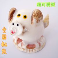 创意家居装饰品工艺品摆设同学礼物 时尚可爱田园贝壳小猪摆件