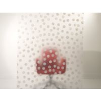 capiz random3formӦ3form֬壬Ϻֱ