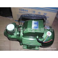 广一水泵 DB清水泵 550W 自吸泵1DB-45  广一抽水泵 三相 380V