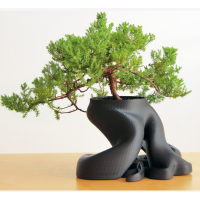 SEED AWARD̫ѡǿ¯,3Dӡ