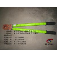 ӱ鷢ڹӦWD-JYQ10KV˫վԵǯ