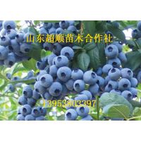 ҴݮƷ  ۸ ıݮ