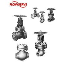 Flowserve