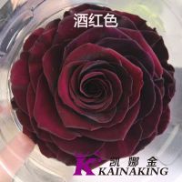 ϶ھõ廨roseamor ˽ 9-10cm