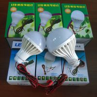 12Vledҹа̯24V48V 12W21W 