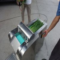 果蔬加工设备 新型电动刹菜馅机 家用小型切菜机