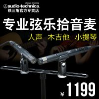 Audio Technica/ AT2031 ټרҵͲ