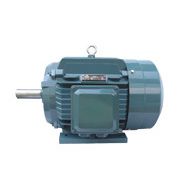 安徽皖南电机 Y2-180L-4-22KW三相异步电动机 品牌马达